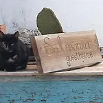 Salmoura Δωμάτια σε οικογενειακή κατοικία Vila do Bispo