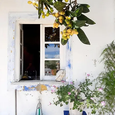 Salmoura Homestay szállás *