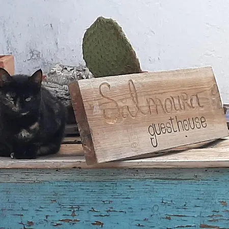 Salmoura Homestay szállás Vila do Bispo