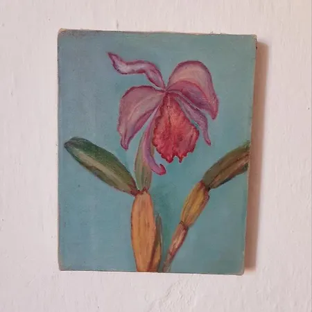 Salmoura Vila do Bispo