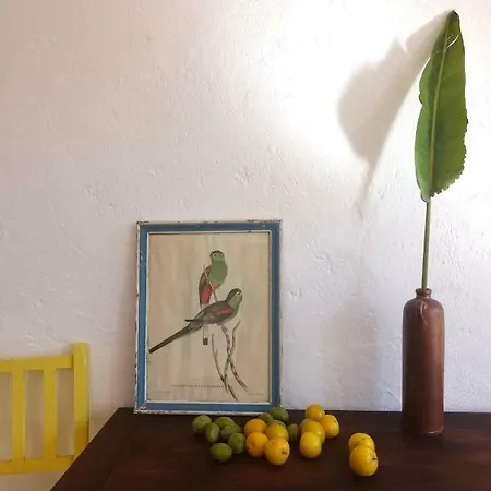 Salmoura Homestay Vila do Bispo