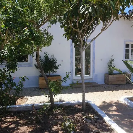 Salmoura