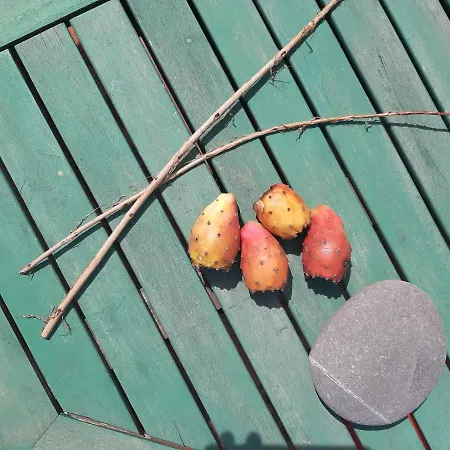 Homestay szállás Salmoura Vila do Bispo