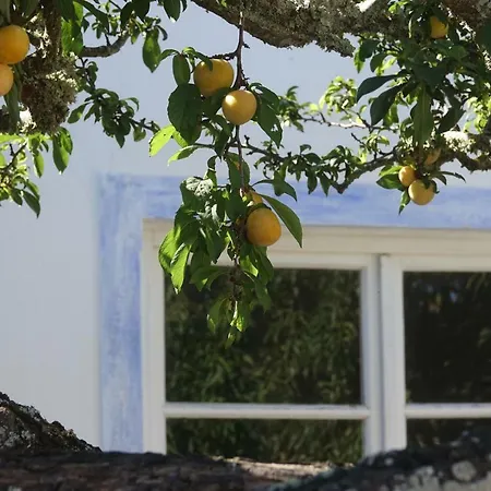 Salmoura Vila do Bispo