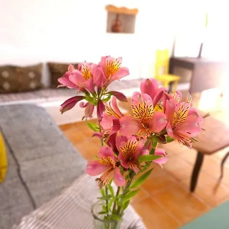 Séjour chez l'habitant Salmoura *