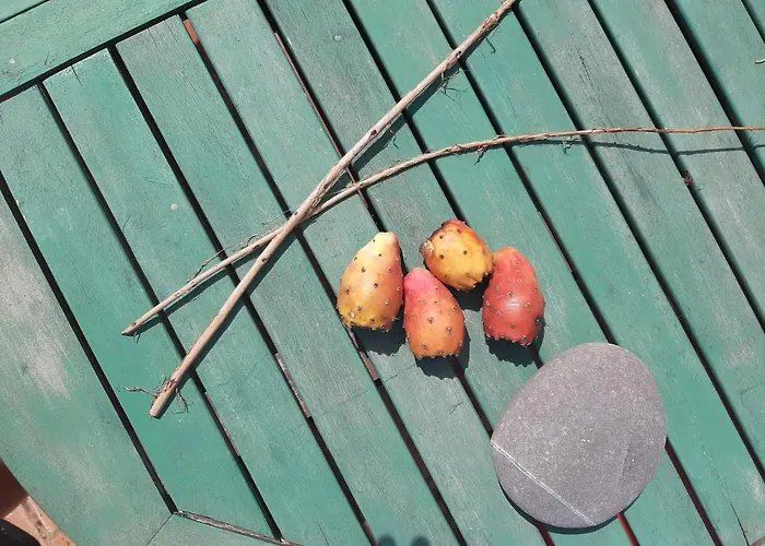 홈스테이 Salmoura 빌라도비스포