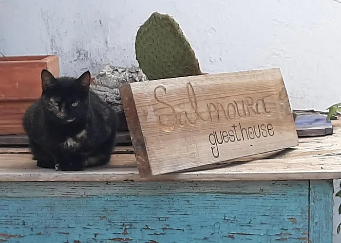 Salmoura 홈스테이 빌라도비스포