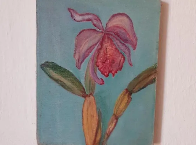 Salmoura 빌라도비스포