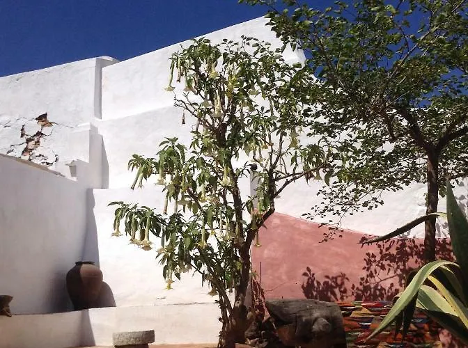 Salmoura 홈스테이 *