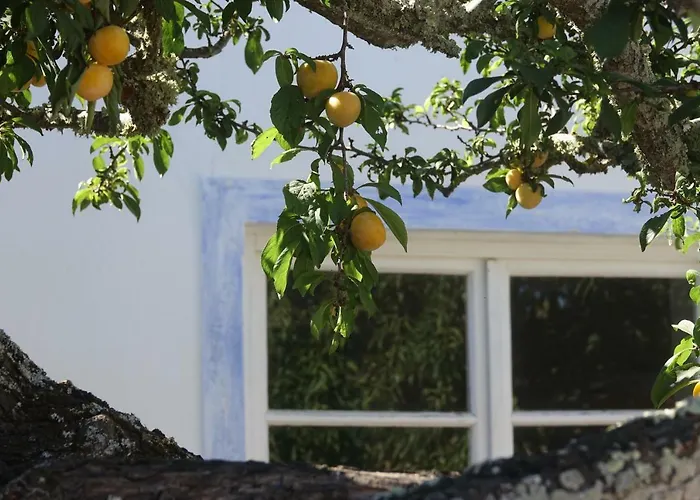 Salmoura 빌라도비스포