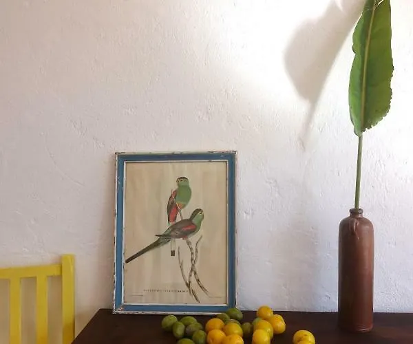 Salmoura 홈스테이 빌라도비스포