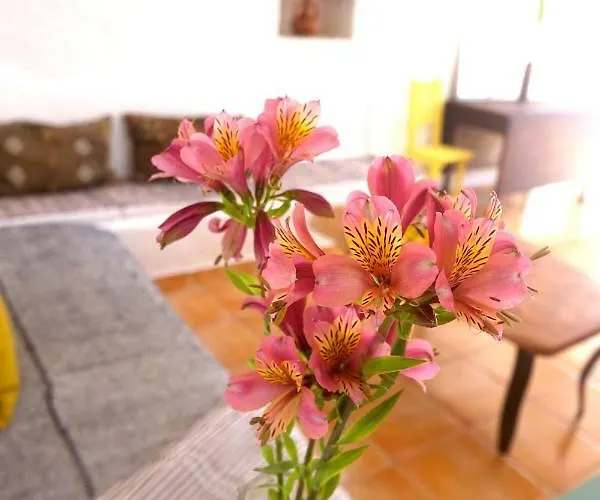 홈스테이 Salmoura *